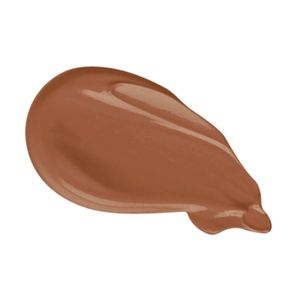 Born This Way Concealer in Chestnut